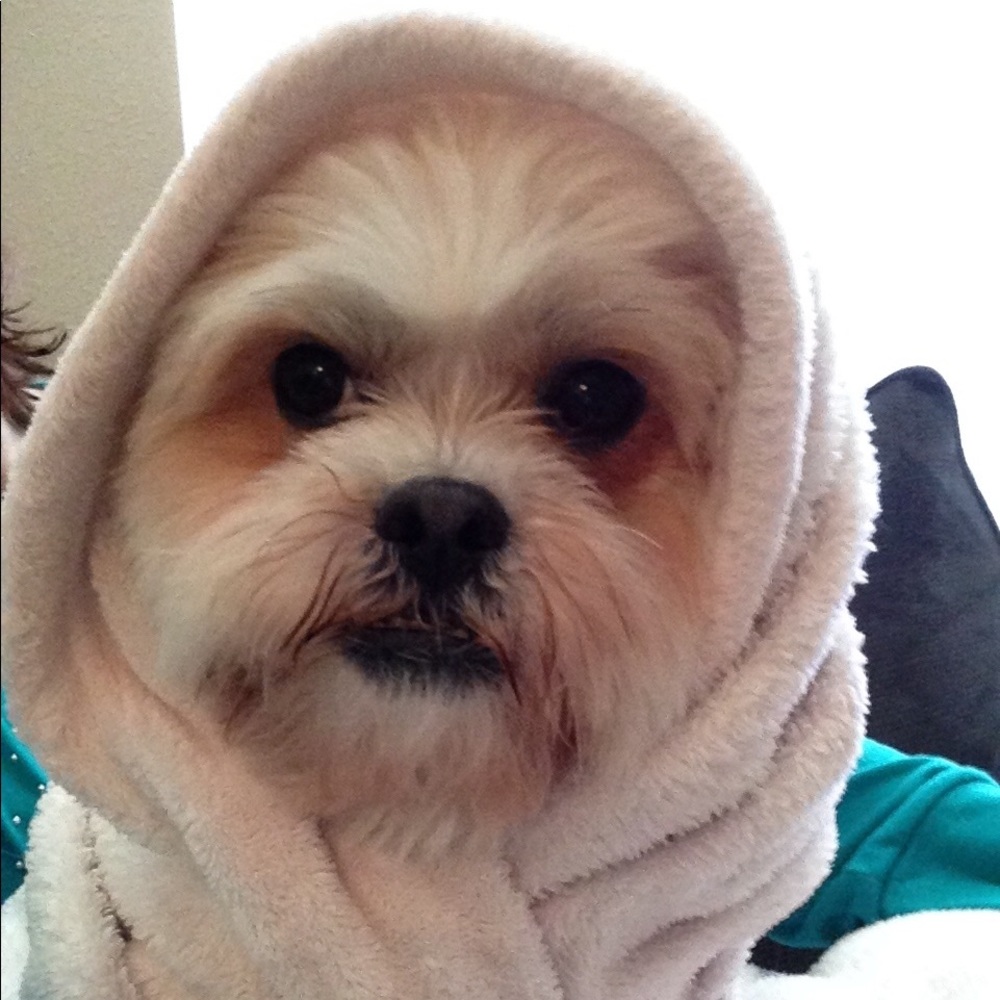 Meet your Posher, Megan